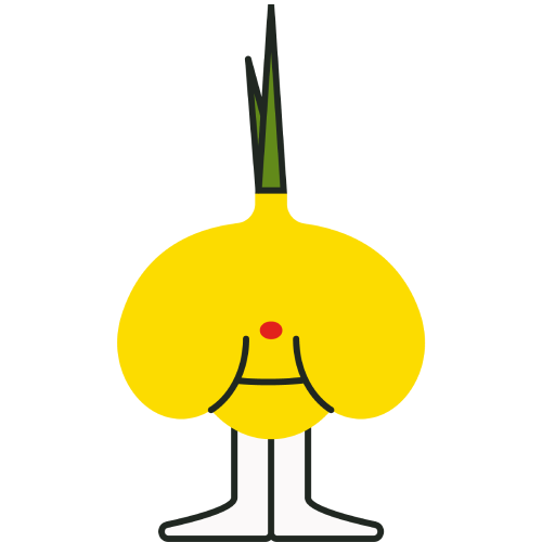 Cebolla - DelSol